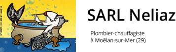 SARL NELIAZ Logo